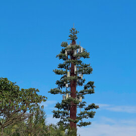 Tour de communication de l'arbre bionique